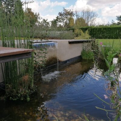 CRÉATION BASSIN ARTIFICIELLE